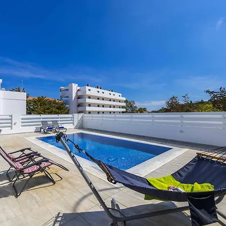 Araella * Протарас